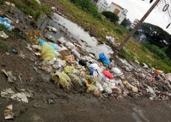 മാതാ കോവിൽ പരിസരത്ത് മാലിന്യ നിക്ഷേപം