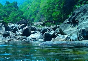 കു​രു​ത്തി​ച്ചാ​ലി​ൽ ഇ​ക്കോ ടൂ​റി​സം പ​ദ്ധ​തി​