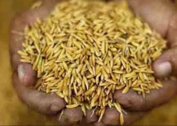 ജില്ലയിൽ നെല്ലുസംഭരണം ഊർജ്ജിതമാക്കും