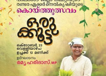 കെ.എസ്.യു. : രണ്ടര ഏക്കർ നെൽകൃഷിയുടെ കൊയ്ത്തുത്സവം നാളെ
