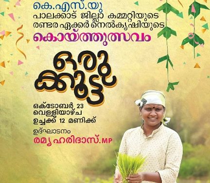 കെ.എസ്.യു. : രണ്ടര ഏക്കർ നെൽകൃഷിയുടെ കൊയ്ത്തുത്സവം നാളെ