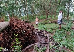 കൃഷി ചെയ്യാനാകാതെ പാലക്കയം പൂഴിക്കുന്നിലെ കർഷകർ