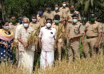 ജില്ല ജയിലിൽ കൊയ്ത്ത് ഉത്സവം