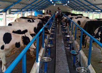 ക്ഷീര മേഖലയിലെ വിവിധ പദ്ധതികളുടെ ഉദ്ഘാടനം നാളെ