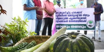 ബസ്റ്റാന്റിൽ വിളവെടുത്ത് വ്യാപാരി കൂട്ടായ്മ