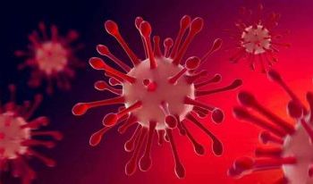 ഇന്ന് 449 പേർക്ക് കോവിഡ് 19 സ്ഥിരീകരിച്ചു