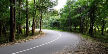 മലമ്പുഴ റിംഗ് റോഡ് നടപടികൾ ആരംഭിച്ചതായി ജില്ലാകളക്ടർ