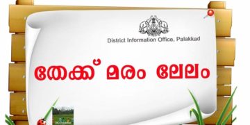 തേക്ക് മരം ലേലം  ചെയ്യുന്നു
