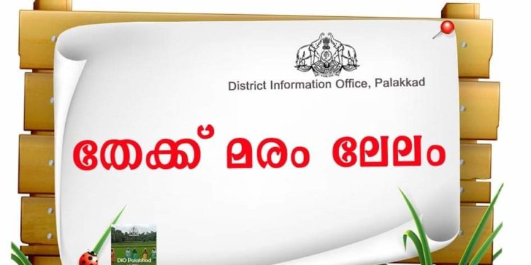 തേക്ക് മരം ലേലം  ചെയ്യുന്നു