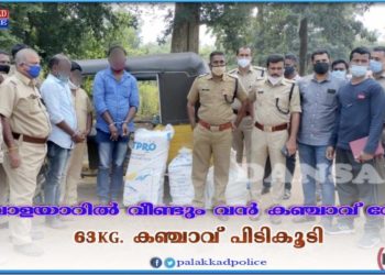 വാളയാറിൽ വീണ്ടും വൻ കഞ്ചാവ് വേട്ട;