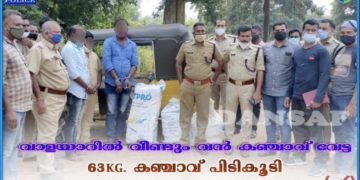 വാളയാറിൽ വീണ്ടും വൻ കഞ്ചാവ് വേട്ട;