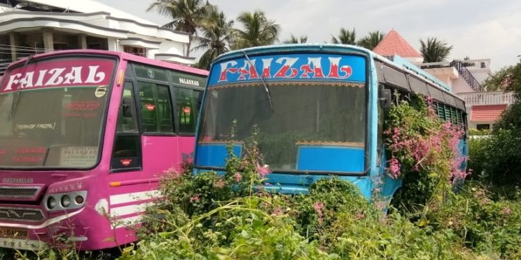 കാടുകയറി ബസ്സുകൾ