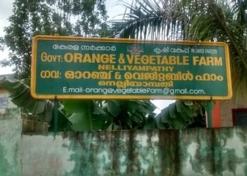 നെല്ലിയാമ്പതി ഗവ. ഓറഞ്ച് ഫാമിൽ ആരംഭിച്ച പച്ചക്കറി കൃഷി