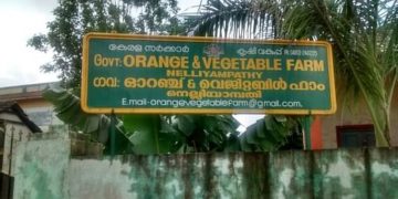 നെല്ലിയാമ്പതി ഗവ. ഓറഞ്ച് ഫാമിൽ ആരംഭിച്ച പച്ചക്കറി കൃഷി