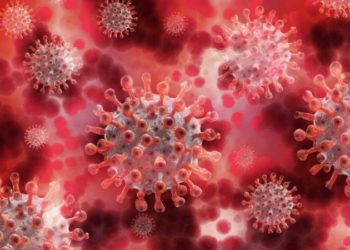 ഇന്ന് 464 പേർക്ക് കോവിഡ് 19 സ്ഥിരീകരിച്ചു