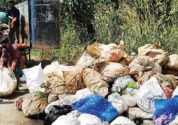 ഒറ്റപ്പാലത്ത് റാേഡരുകിൽ അറവു മാലിന്യം