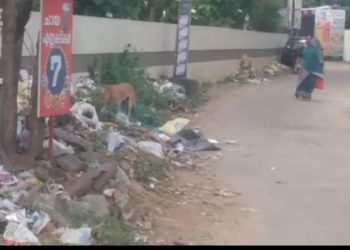 നഗരത്തിലെ മാലിന്യ പ്രശ്നം തിരഞ്ഞെടുപ്പിൽ ചർച്ചയാക്കണം