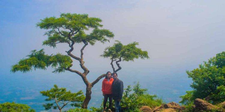 വ്യൂപോയിന്റിൽ വീണ ഒരാളെ രക്ഷപെടുത്തി: മറ്റൊരാൾക്കായി തിരച്ചിൽ