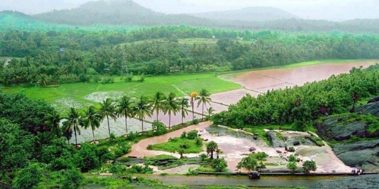 വരോട് അനധികൃത ക്വറി തല്കാലികം നിറുത്തി വെക്കാൻ ഉത്തരവ്