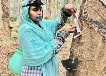 സ്ഥാനാർത്ഥിയായിട്ടും ‘പണി മുടക്കാതെ’ ആമിന