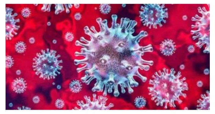 ഇന്ന് 436 പേര്‍ക്ക് കോവിഡ് 19 സ്ഥിരീകരിച്ചു