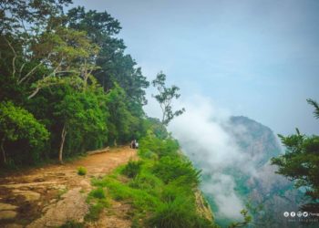 നെല്ലിയമ്പതി സീതാര്‍കുണ്ഡില്‍ രണ്ട് സഞ്ചാരികള്‍ കൊക്കയില്‍ വീണു.