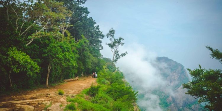 നെല്ലിയമ്പതി സീതാര്‍കുണ്ഡില്‍ രണ്ട് സഞ്ചാരികള്‍ കൊക്കയില്‍ വീണു.
