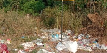 ബോർഡിന് പുല്ലുവില:പ്രത്യേക സ്കാഡ് രൂപീകരിക്കണം
