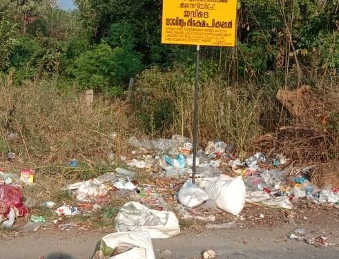 ബോർഡിന് പുല്ലുവില:പ്രത്യേക സ്കാഡ് രൂപീകരിക്കണം