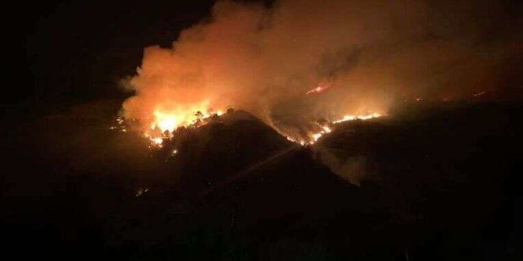 മലമ്പുഴ മൊട്ടമലയിൽ തീപിടുത്തം