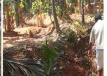 ബിജെപി പ്രവര്‍ത്തകന്റെ വീട്ടില്‍ ബോംബ് സ്‌ഫോടനം