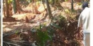 ബിജെപി പ്രവര്‍ത്തകന്റെ വീട്ടില്‍ ബോംബ് സ്‌ഫോടനം