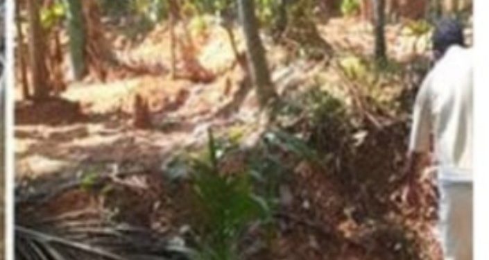 ബിജെപി പ്രവര്‍ത്തകന്റെ വീട്ടില്‍ ബോംബ് സ്‌ഫോടനം