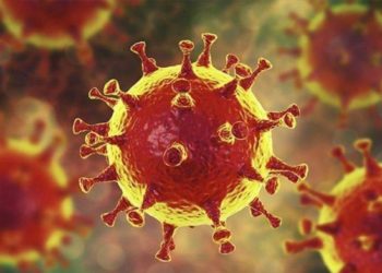 ഇന്ന് 259 പേര്‍ക്ക് കോവിഡ് 19 സ്ഥിരീകരിച്ചു