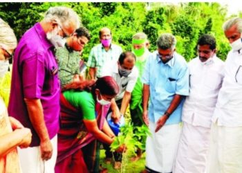 തസ്രാക്കിലെ ഒ വി വിജയൻ സ്മാരകത്തിൽ ഇനി ഓർമമരങ്ങൾ തണൽ വിരിക്കും
