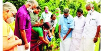 തസ്രാക്കിലെ ഒ വി വിജയൻ സ്മാരകത്തിൽ ഇനി ഓർമമരങ്ങൾ തണൽ വിരിക്കും
