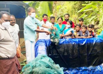 തേങ്കുറുശ്ശിയിൽ വീട്ടുമുറ്റത്ത് മിനി പടുതാകുളം’ വിളവെടുപ്പ് ഉൽസവം