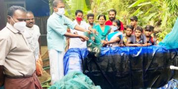 തേങ്കുറുശ്ശിയിൽ വീട്ടുമുറ്റത്ത് മിനി പടുതാകുളം’ വിളവെടുപ്പ് ഉൽസവം