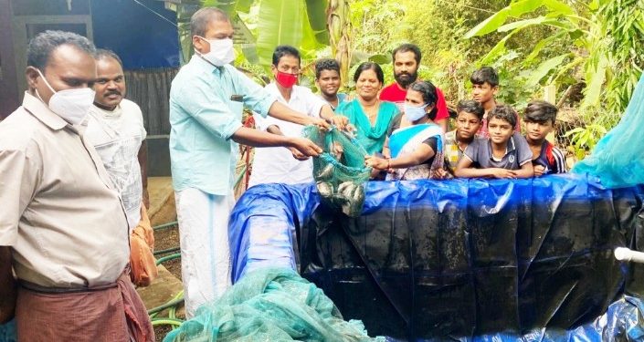 തേങ്കുറുശ്ശിയിൽ വീട്ടുമുറ്റത്ത് മിനി പടുതാകുളം’ വിളവെടുപ്പ് ഉൽസവം