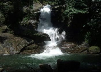 നെല്ലിയാമ്പതിയിൽ വീണ്ടും ദുരന്തം : വെള്ളച്ചാട്ടത്തിൽ രണ്ട് പേർ മുങ്ങി മരിച്ചു.