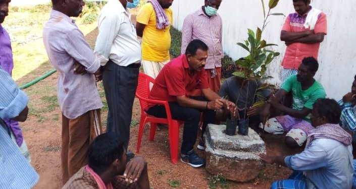 മലമ്പുഴ ജയിലിലെ തടവുകാർക്ക് ‘ഗ്രാഫ്റ്റിങ്ങ് പരിശീലനം നൽകി