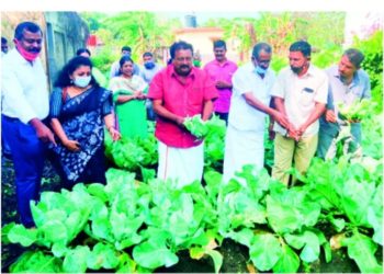 കൊല്ലങ്കോട് റെയിൽവേ സ്​റ്റേഷനിൽ പച്ചക്കറി വിളവെടുപ്പ്