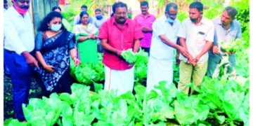 കൊല്ലങ്കോട് റെയിൽവേ സ്​റ്റേഷനിൽ പച്ചക്കറി വിളവെടുപ്പ്