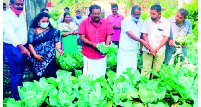 കൊല്ലങ്കോട് റെയിൽവേ സ്​റ്റേഷനിൽ പച്ചക്കറി വിളവെടുപ്പ്