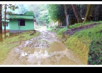 പറമ്പിക്കുളം റോഡ് തകർച്ച;   ദുരിതംപേറി ആദിവാസികൾ