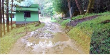 പറമ്പിക്കുളം റോഡ് തകർച്ച;   ദുരിതംപേറി ആദിവാസികൾ