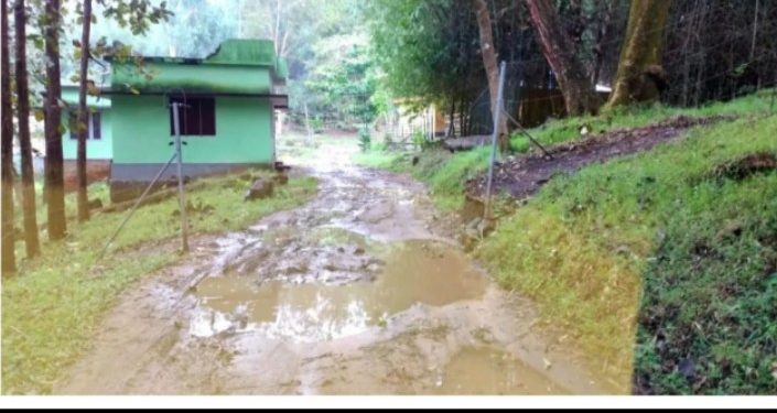 പറമ്പിക്കുളം റോഡ് തകർച്ച;   ദുരിതംപേറി ആദിവാസികൾ