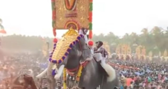 ഉത്സവപ്പറമ്പുകളിലെ  ചക്രവർത്തി മംഗലാംകുന്ന് കർണൻ ചരിഞ്ഞു