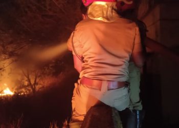 മലമ്പുഴയിൽ വീണ്ടും തീ പിടിച്ചു