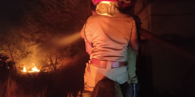 മലമ്പുഴയിൽ വീണ്ടും തീ പിടിച്ചു